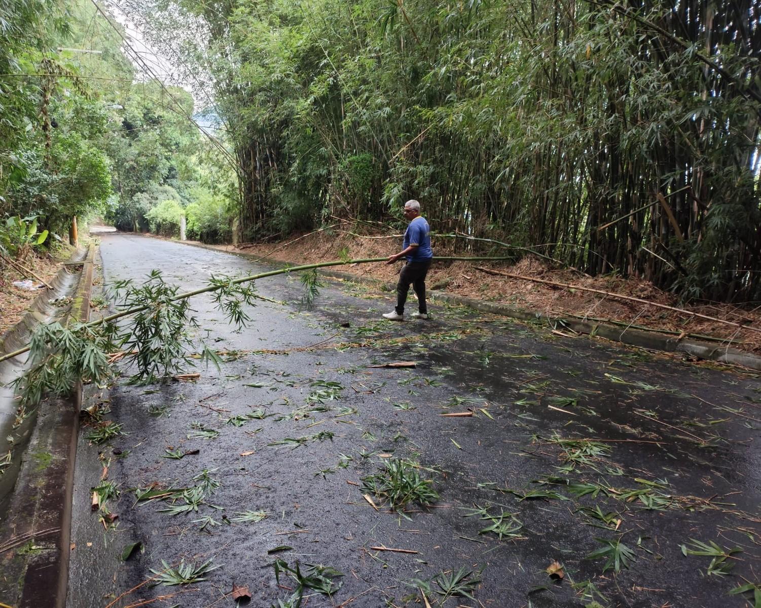 SÃO SEBASTIÃO: VENTOS FORTES MOBILIZAM EQUIPES