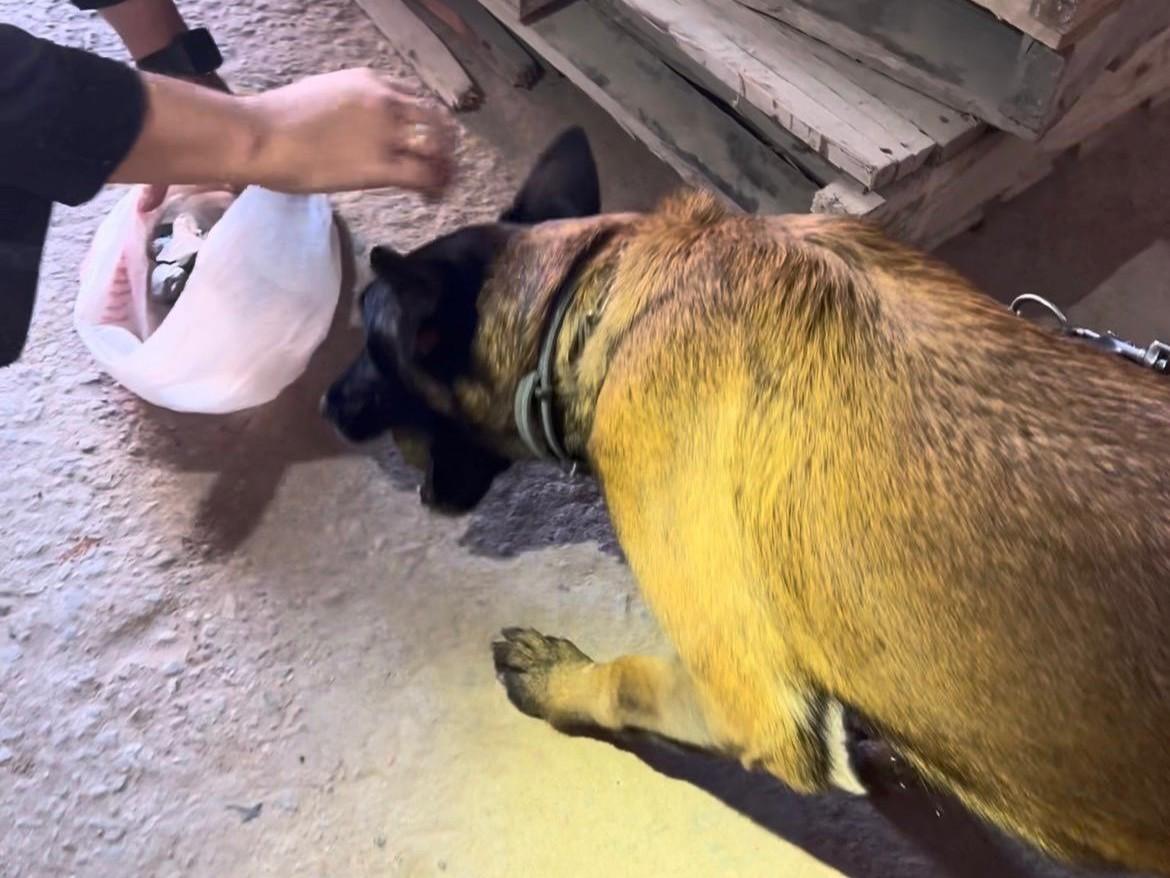 KONA LOCALIZA DROGAS E AJUDA EM PRISÃO