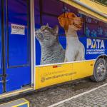 PATA MÓVEL AMPLIA ATENDIMENTOS E LEVA CASTRAÇÃO GRATUITA