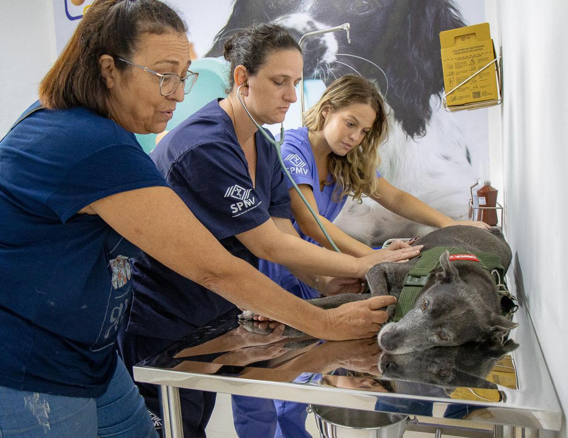 PATA Móvel retoma atendimentos em São Sebastião...