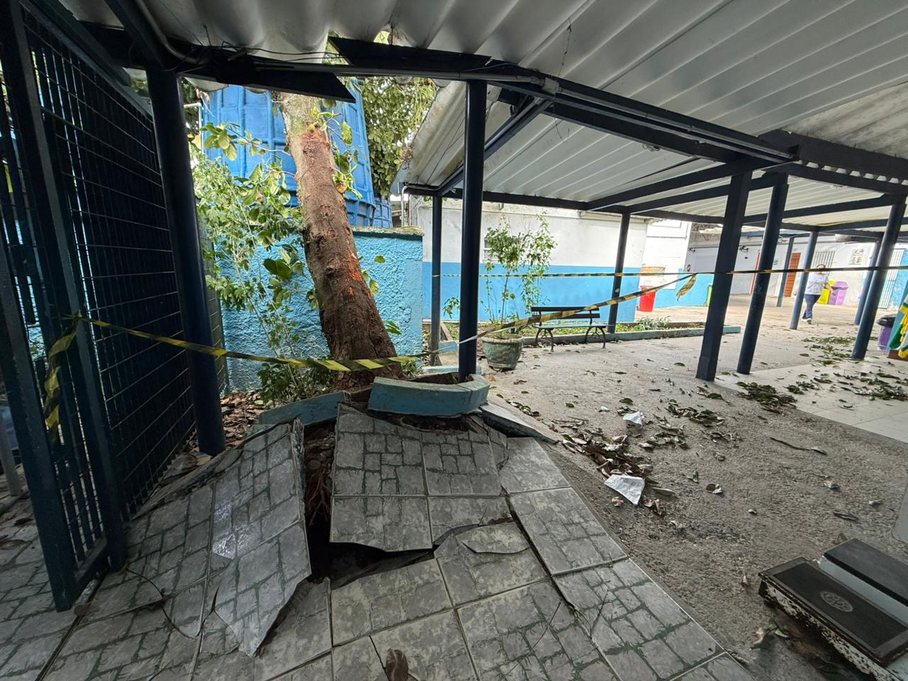 Fortes ventos causam danos em São Sebastião