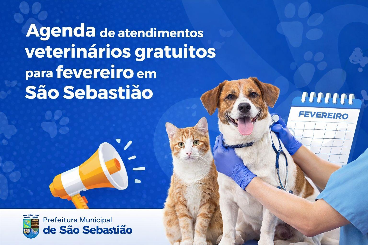 Atendimento Pata: São Sebastião